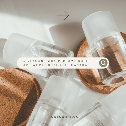 perfume dupes canada