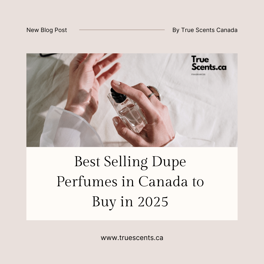 Best Selling Dupe Perfumes in Canada