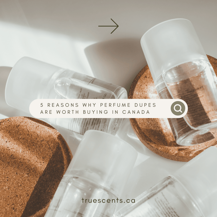 5 Reasons Why Perfume Dupes Are Worth Buying in Canada – True Scents Canada